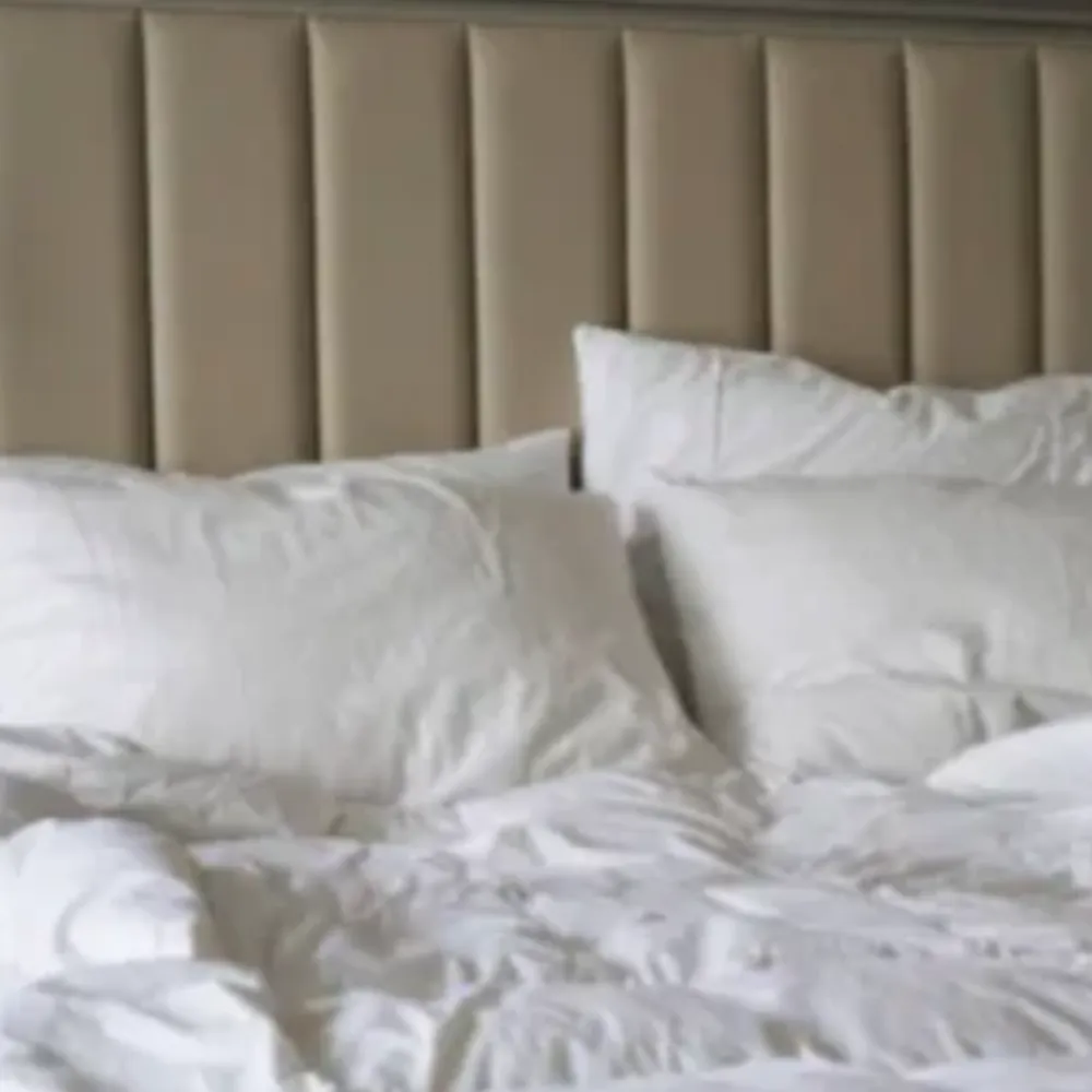 如何挑選一條「四季都能用」的兩用被？一次搞懂材質差