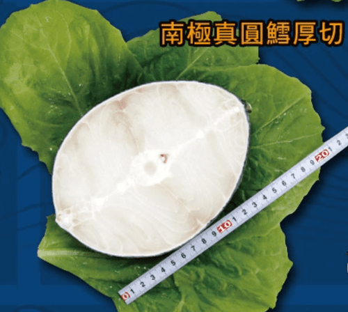 鱈魚切片ai圖1