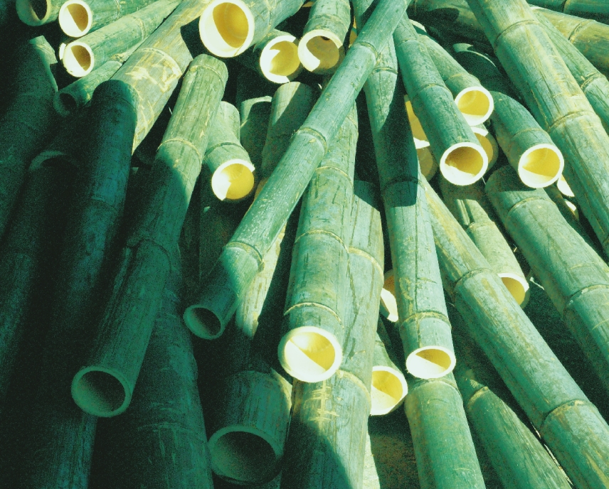 竹炭相關原料及產品的製造及銷售
