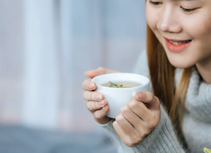 高山烏龍茶批發