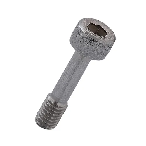 護蓋螺栓　內六角孔型