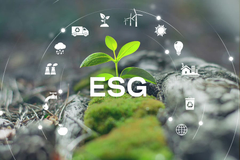 「濤濤國際企業管理顧問」您的ESG永續發展之夥伴！