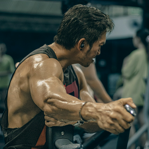 肌耐力訓練是最適合新手的運動起點