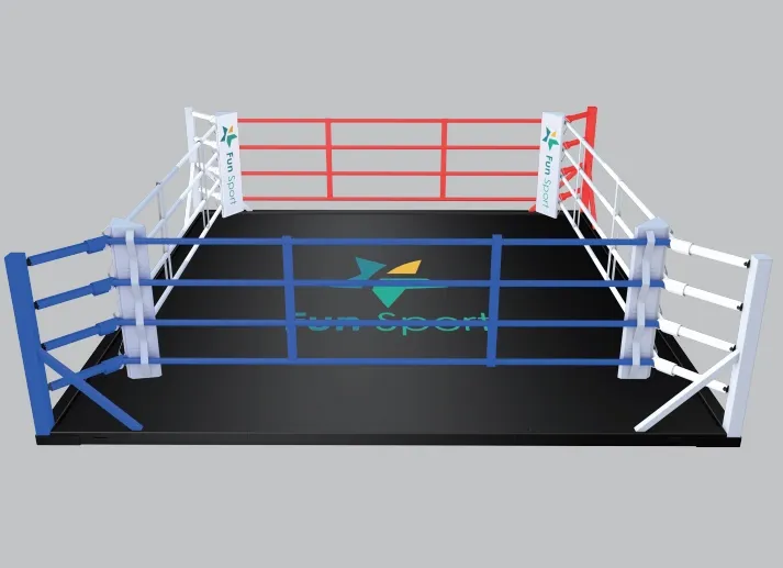 落地形拳擊擂台，無需傳統的高架拳擊擂台設置，獨特的設計  安