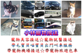 小林寵物美容就醫接送帶寵物出門叫車寵物機場接送寵物旅遊包車