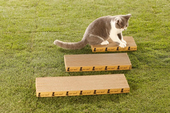 貓抓板,碗架,貓屋,貓床,貓砂,貓跳台,貓碗架