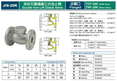 法蘭口20K立式逆止閥型錄
