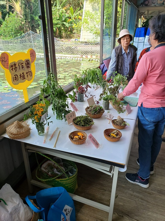 藥用植物栽種藥用植物教育藥用植物參訪藥用植物人才培