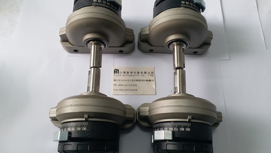 FESTO 擺動氣缸DSR-32-180-P