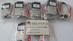 V310 39 24VDC電磁閥