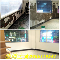 【防水總動員】★防水工程,壁癌處理,壁癌處理費用,牆壁發霉