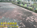 1503 住家庭院-連鎖磚地面青苔清洗工程-照片