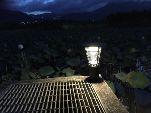 高亮度太陽能LED景觀燈1