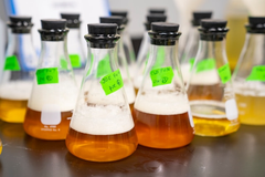 學校實驗設備涵蓋了多種科目,包括化學、生物、物理、地球科學等