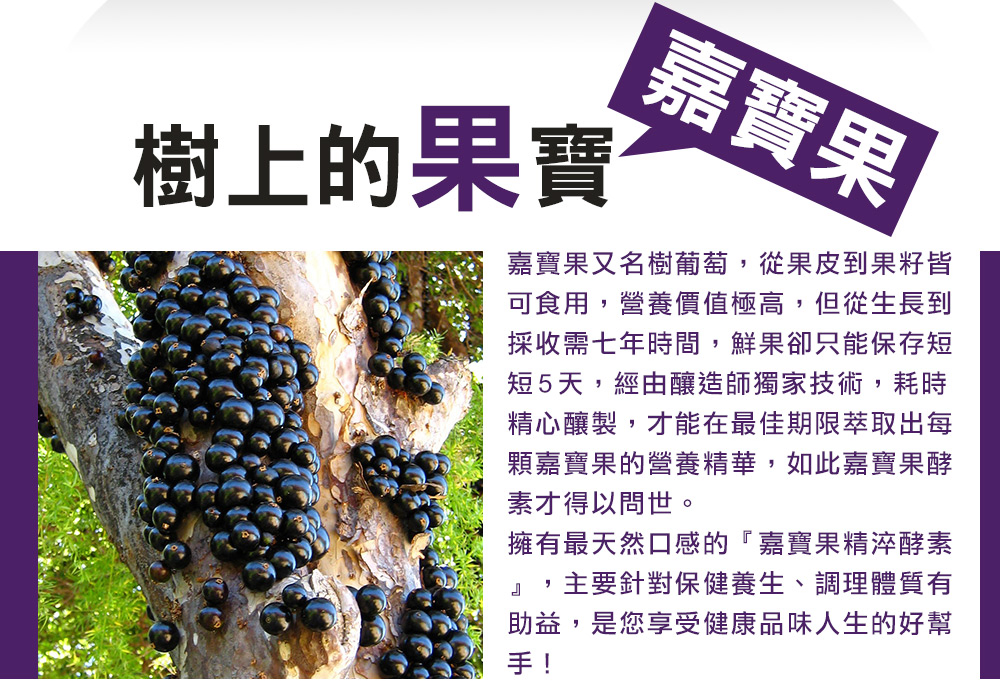 【果宝欢酵】有机嘉宝果酵素(植物发酵浓缩液)