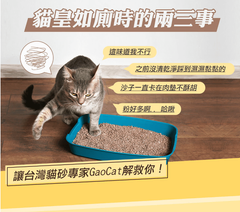 可沖馬桶天然豆腐砂3