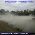 池塘噴霧造景