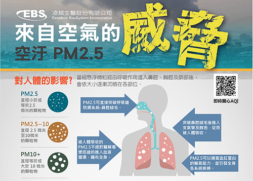 民生-1