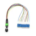 MPO-MTP trunk cable