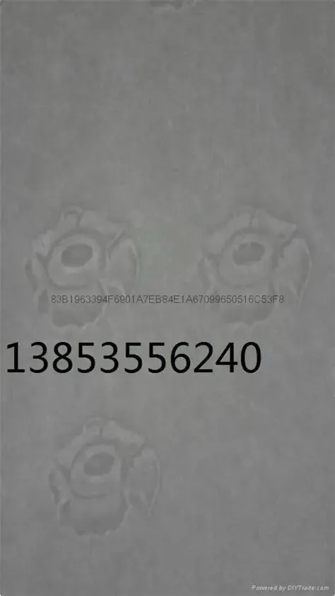 支票纸、防伪纸、水印纸、代金券纸