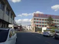 水印纸 支票纸 证券纸 安全纸  防伪纸