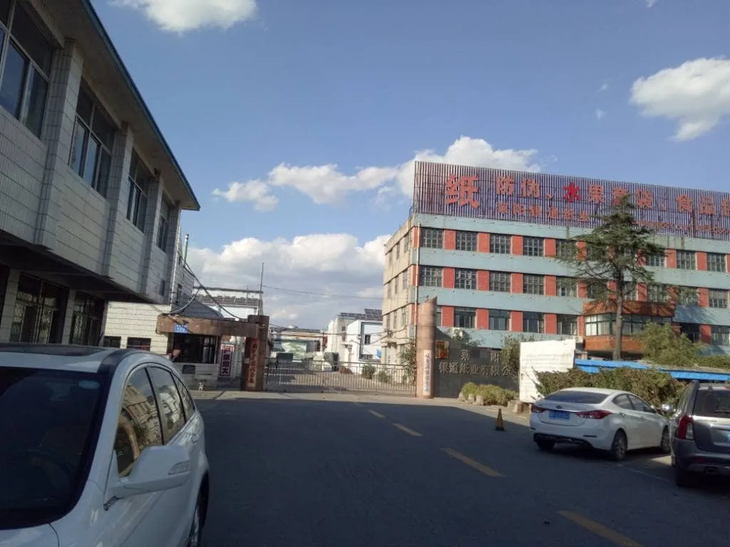 黄色水果套袋纸 白色水果套袋纸、芒果套袋纸