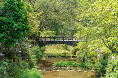可依需求安排專屬行程,例如宜蘭一日遊、北海岸景點巡禮等
