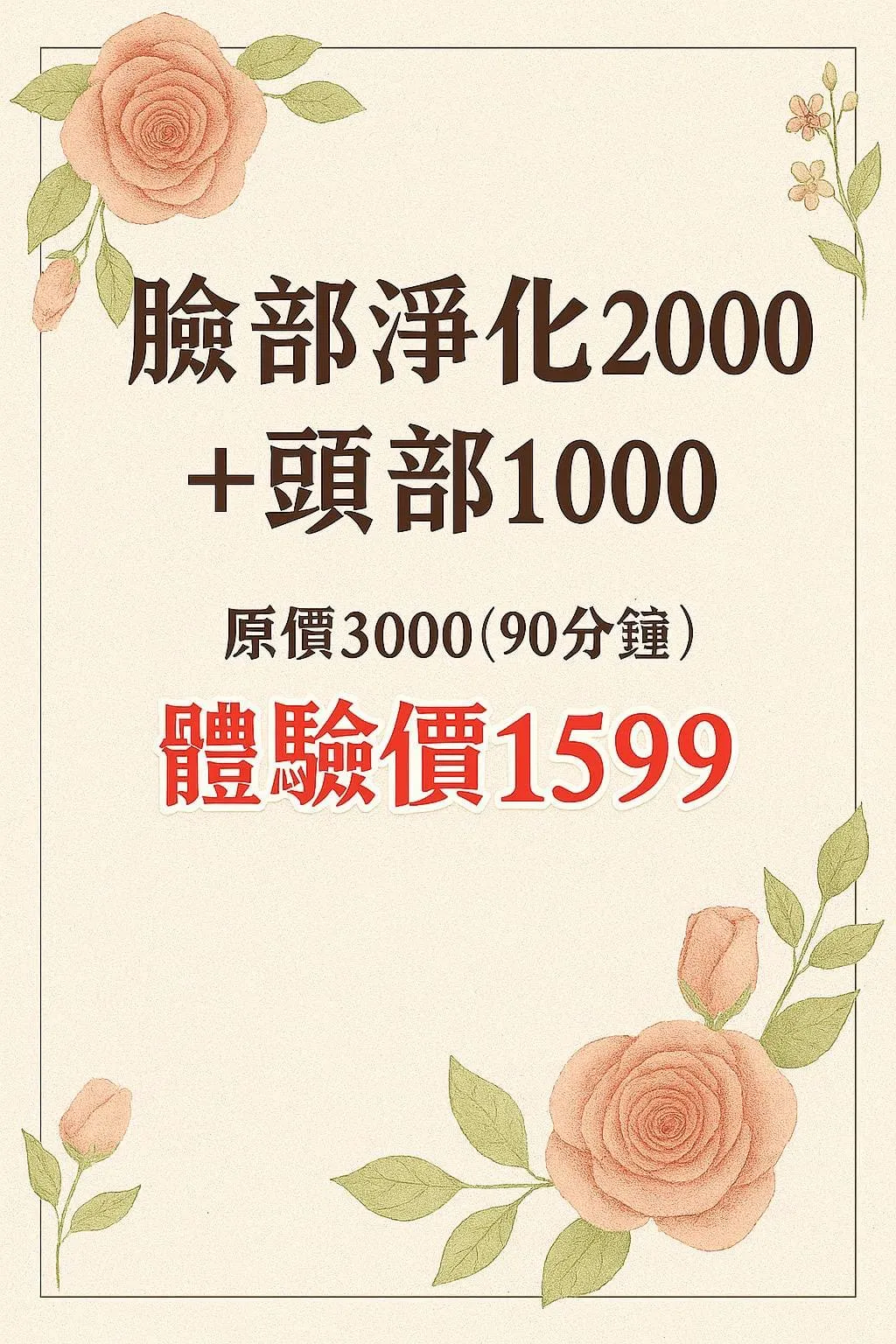 臉部淨化美容