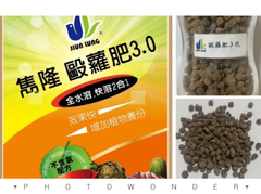 毆蘿肥3.0
