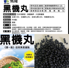 雋隆黑機丸