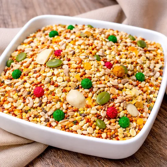 飼料怎麼挑才安心？鳥飼料與寵物食物選擇原則