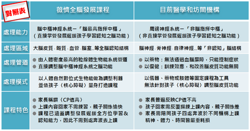 薇懠全腦發展課程與坊間治療機構對照表