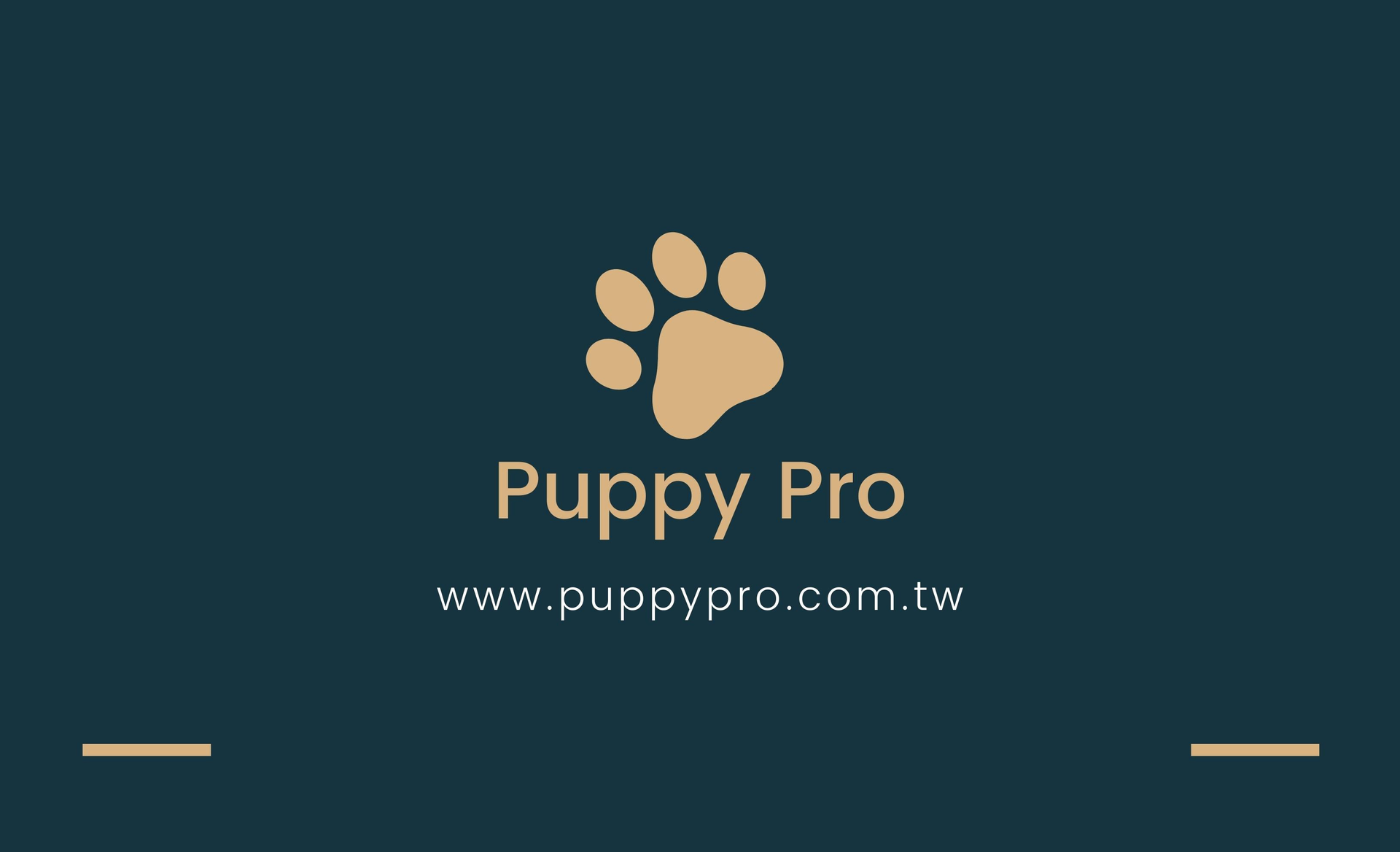 PuppyPro胖皮寶貝寵物用品批發公司與供應商