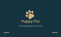 PuppyPro胖皮寶貝寵物用品批發公司與供應商