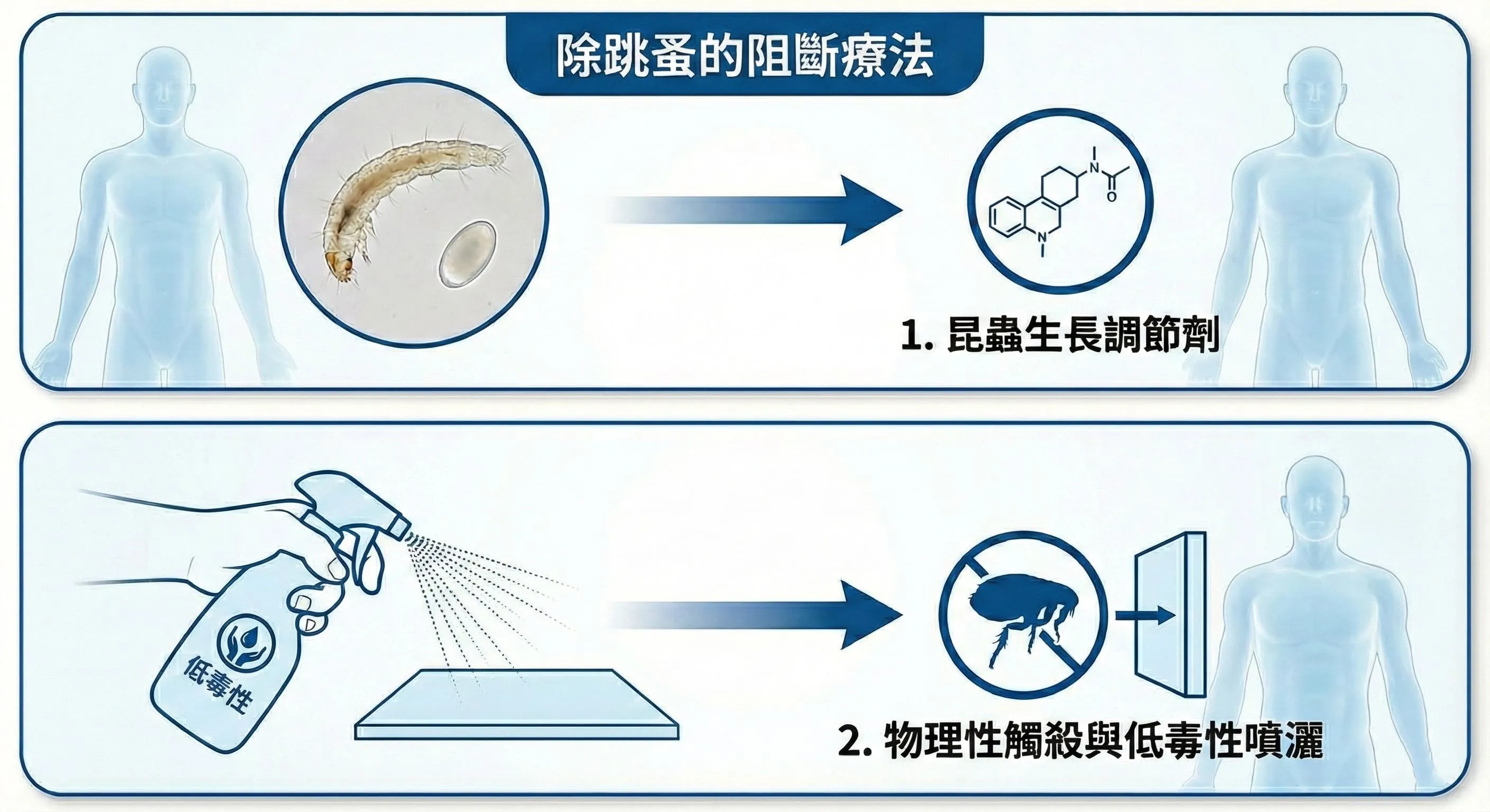除跳蚤的阻斷療法