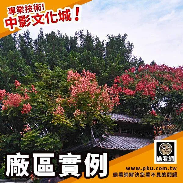 廠區實例