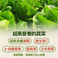 菠菜營養介紹