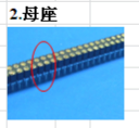 母座