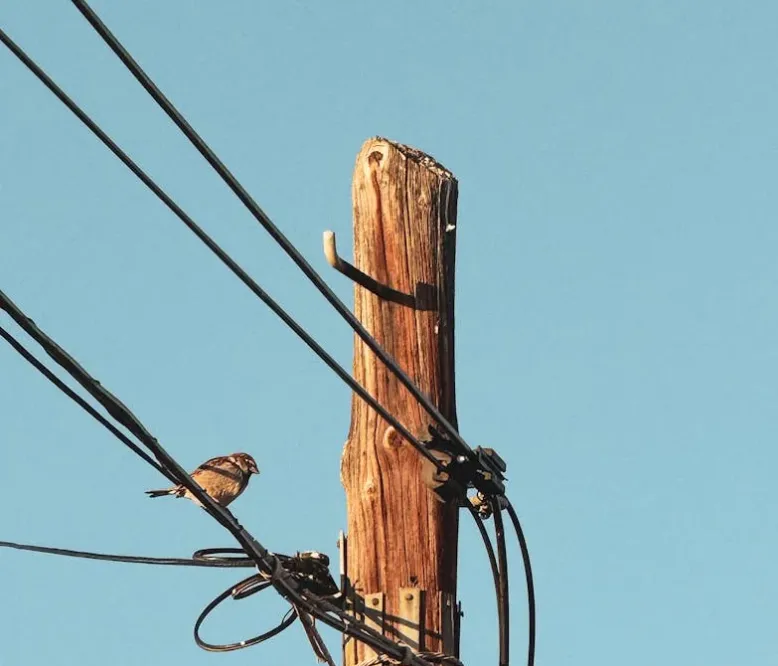 電子線
