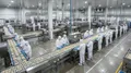 專業冷凍食品工廠
