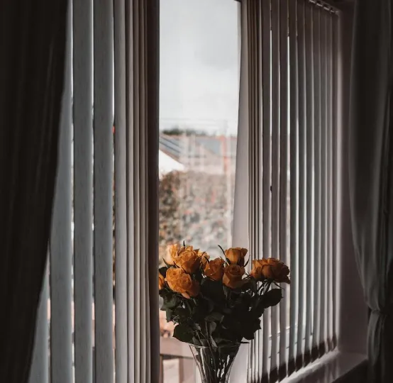 install blinds