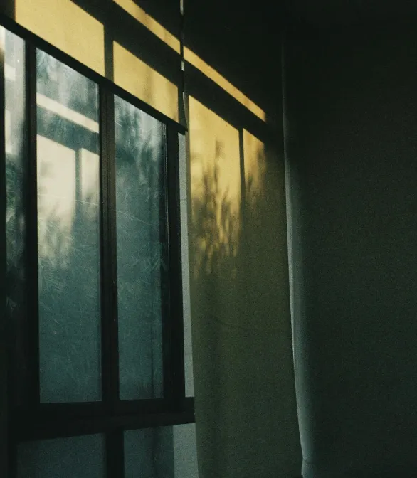 sunshade roller blind