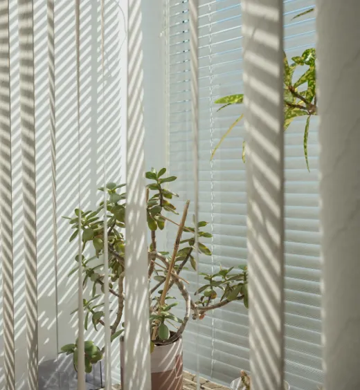 roller blinds