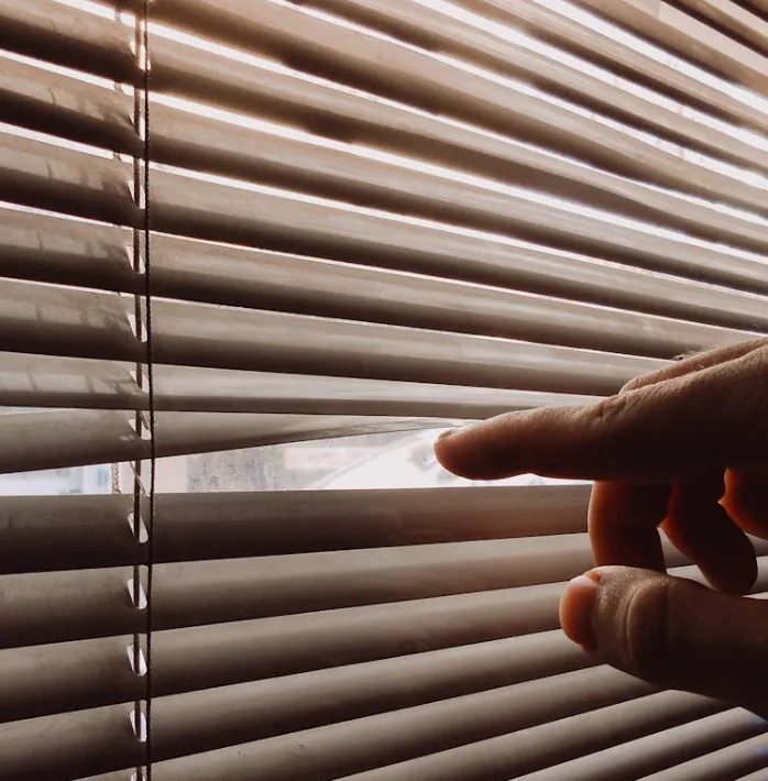 electric motor blinds