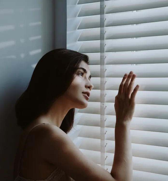 auto window blinds