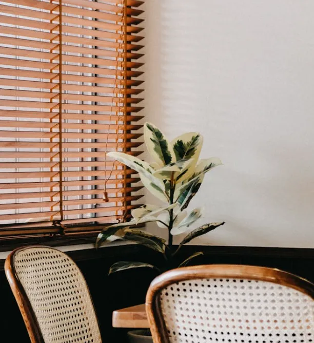 window covering