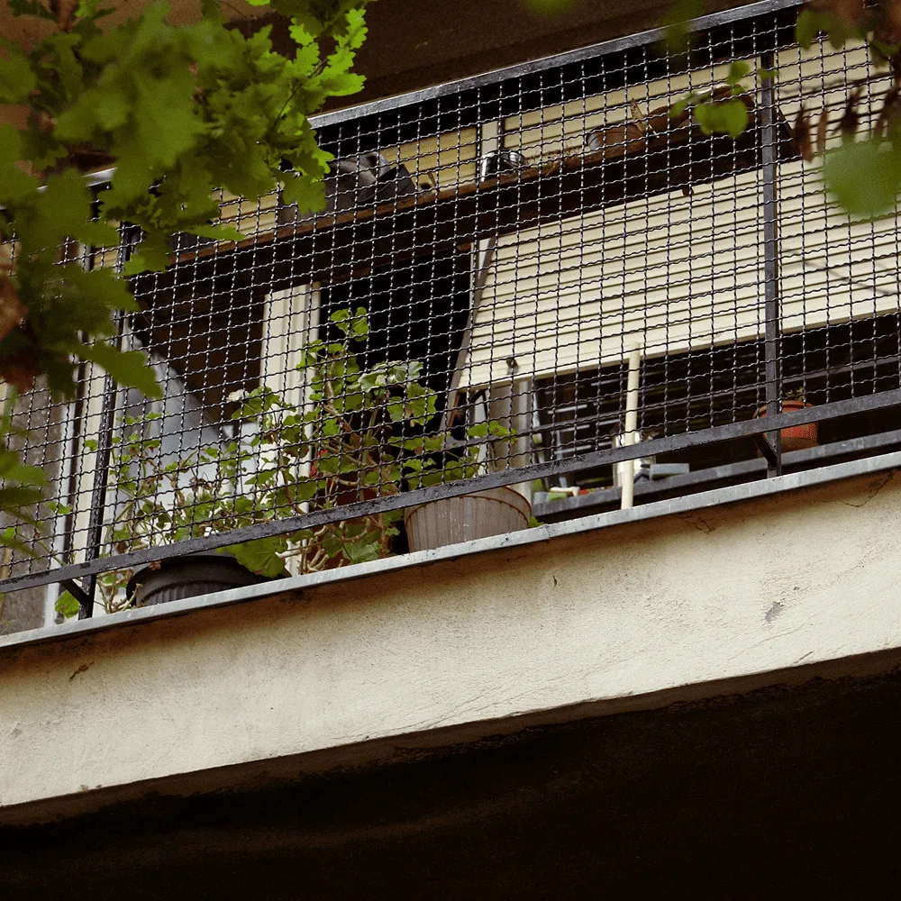 安裝專業的寵物陽台防護網已成為飼主們的共識