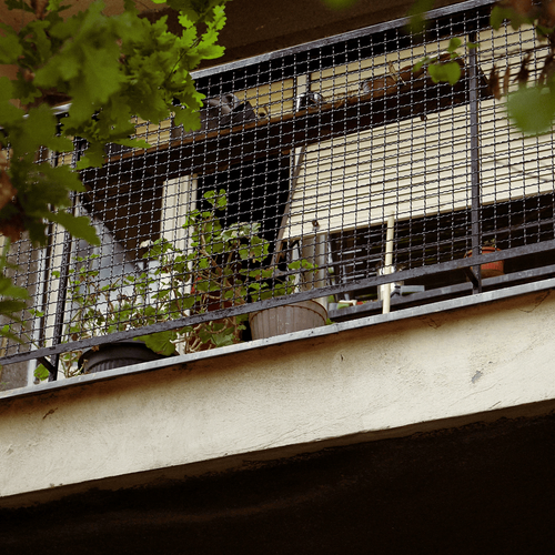 安裝專業的寵物陽台防護網已成為飼主們的共識