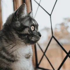 除了陽台，家中還有許多角落需要透過客製線製品製造來優化安全