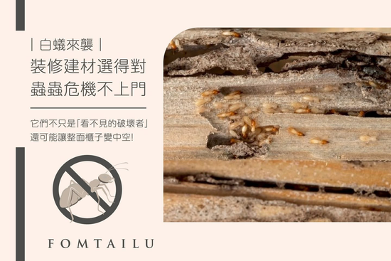 抗潮防蟲裝修秘訣｜裝修選材避開白蟻危機